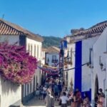 Grocery Stores in Caldas da Rainha