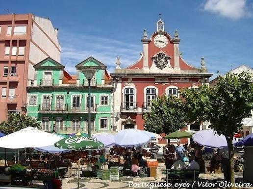 Living Near São Martinho do Porto