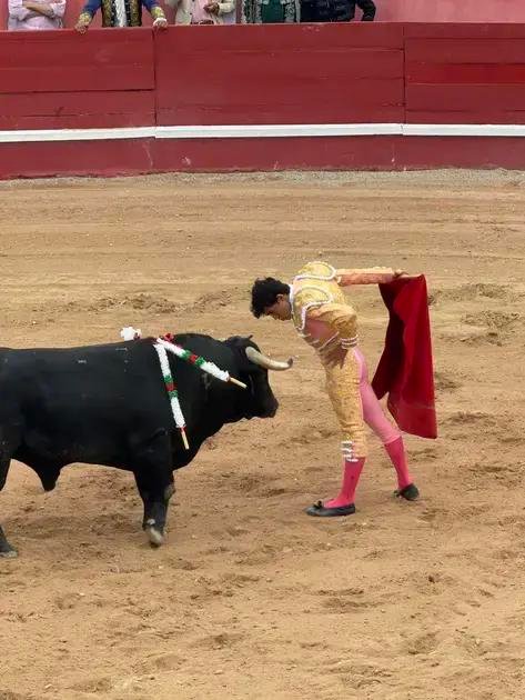 Praça das Caldas cheia: tradição revive na corrida de toiros de 15 de agosto