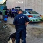 GNR detecta condições irregulares no alojamento de trabalhadores sazonais