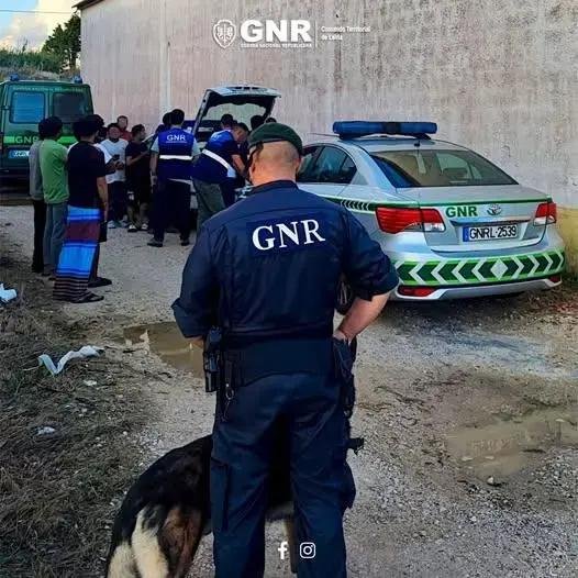 GNR detecta condições irregulares no alojamento de trabalhadores sazonais